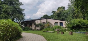 143147026_10223796435479421_4537376560311650068_o